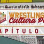 Wrestling y cultura popular I: la mala reputación del wrestling profesional