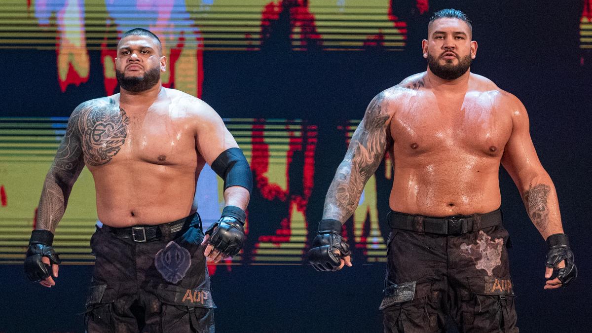 WWE despidió a los Authors of Pain