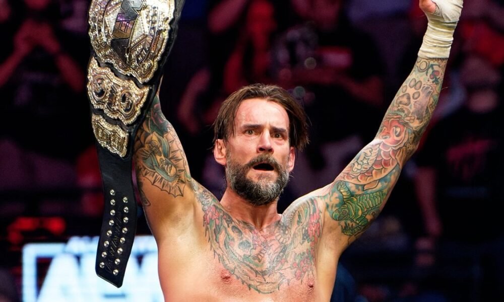 cm punk AEW Fight Forever
