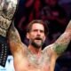 cm punk AEW Fight Forever