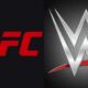 wwe ufc