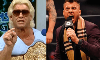 ric flair mjf