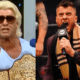 ric flair mjf