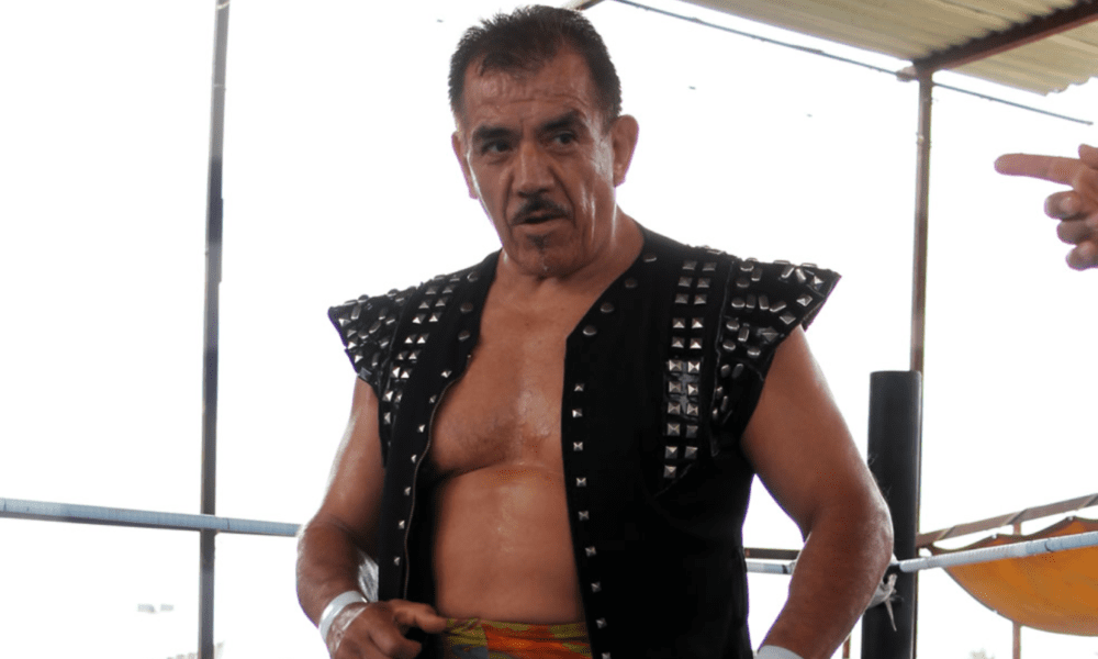 Black Terry